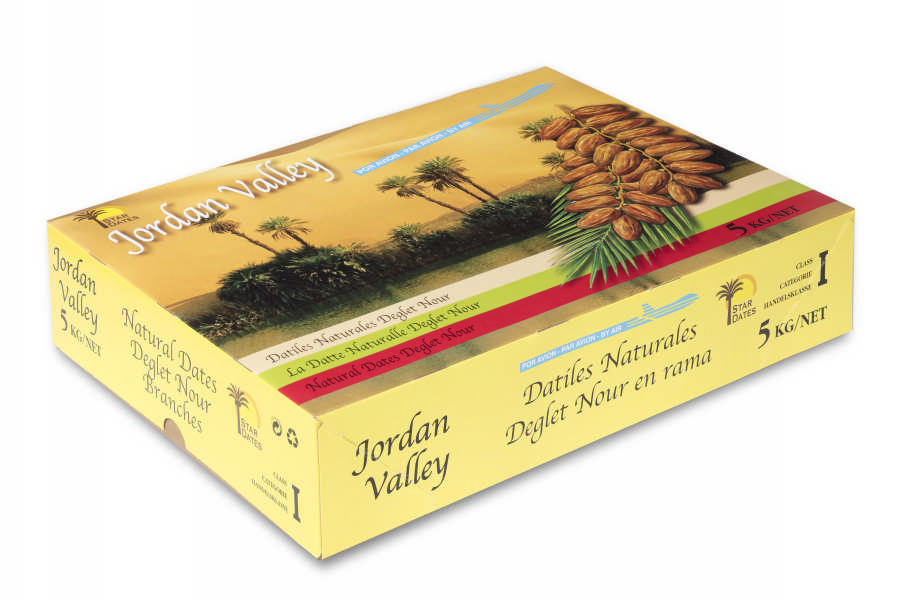 agrifood marketing- exporting Medjool organic dates